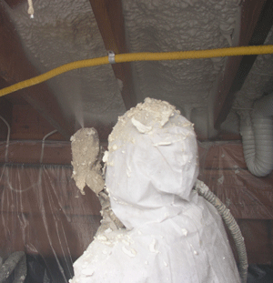 Quebec City  crawl space insulation